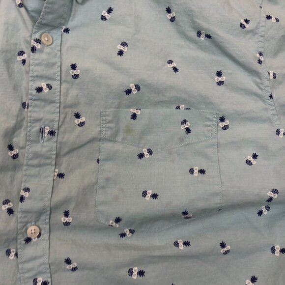American Eagle Outfitters Mens Shirt XXL Long Sleeve Pineapple Button Up Blue - Picture 9 of 11